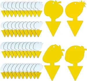 Fruit Fly Trap & Fungus Gnat Traps 40 Pack