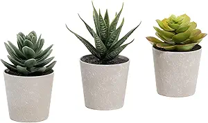 Artificial Succulents Set of 3 Mini Realistic Fake Plants