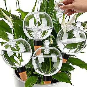 4 Pack 17.5 oz Plant Watering Globes