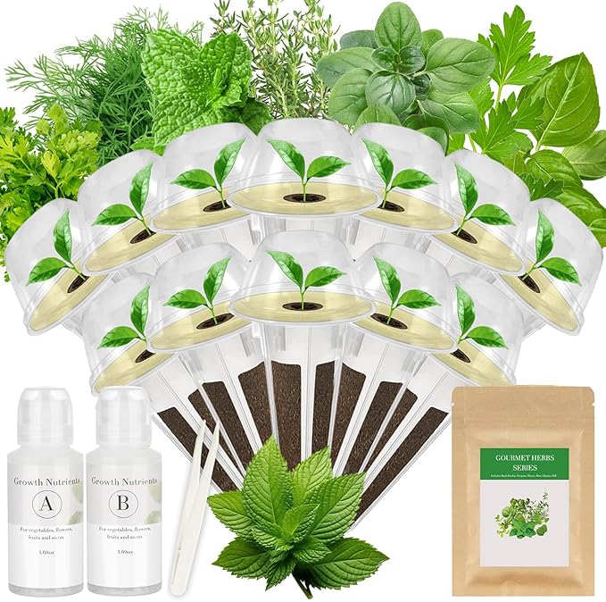 Gourmet Herbs Seed Pod Kit for AeroGarden