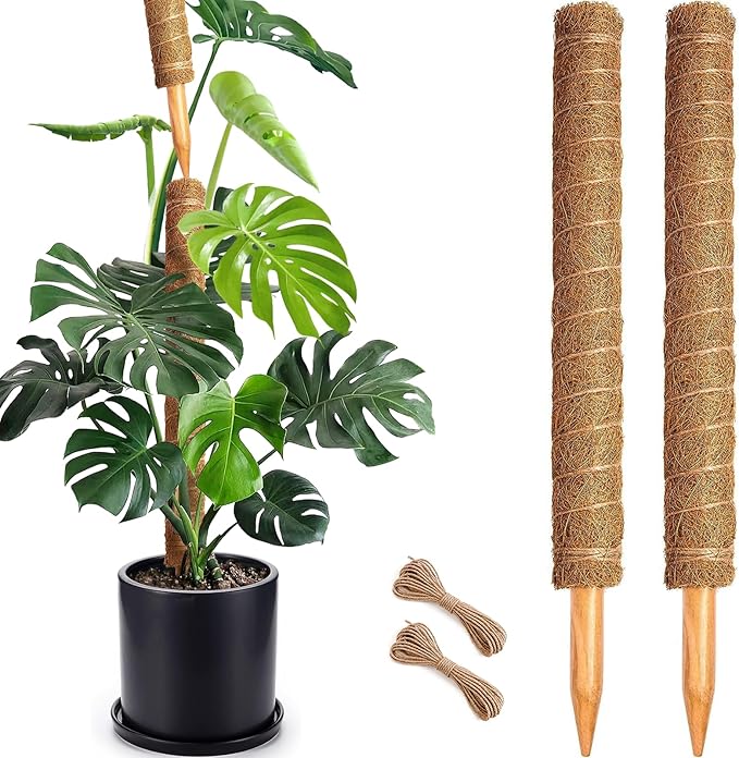 Moss Pole Plant Support