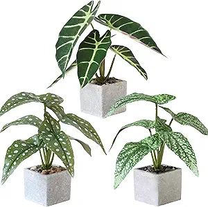 Small Begonia Faux Plant Set