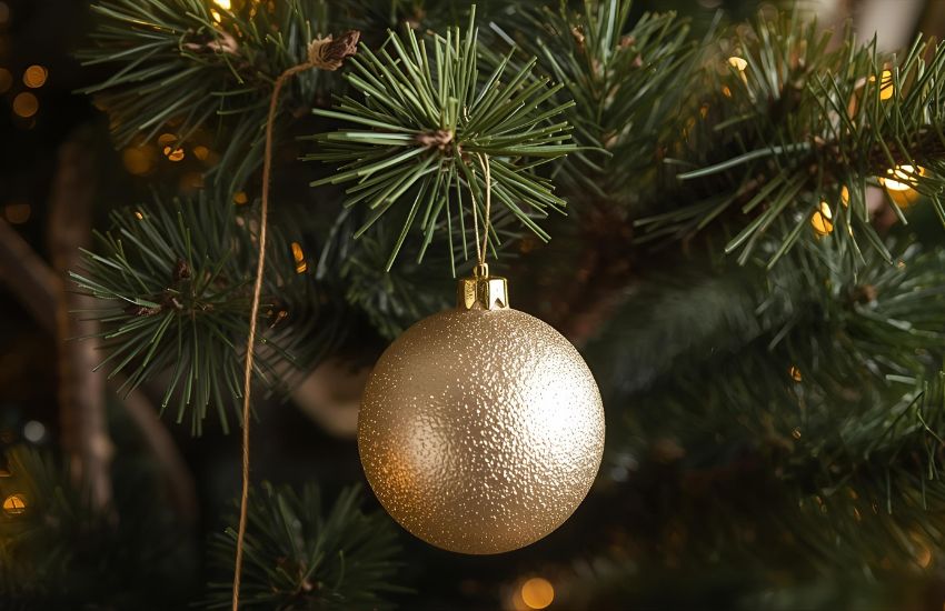 The Benefits of a Live Christmas Tree Over Artificial Options