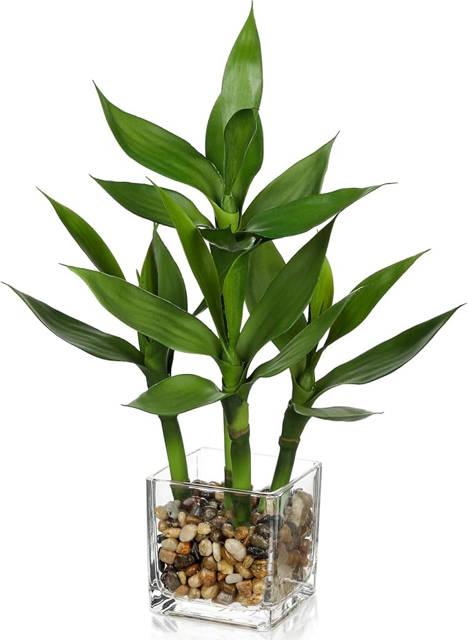 GnFlus Artificial Lucky Bamboo Plant