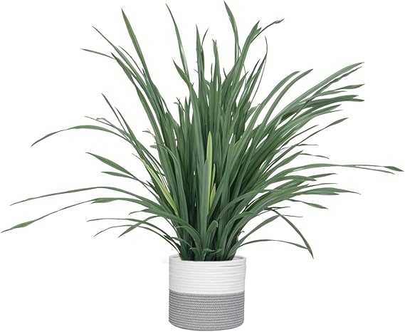 36" Vintage Real Touch Faux Lemon Grass in a Rope Basket