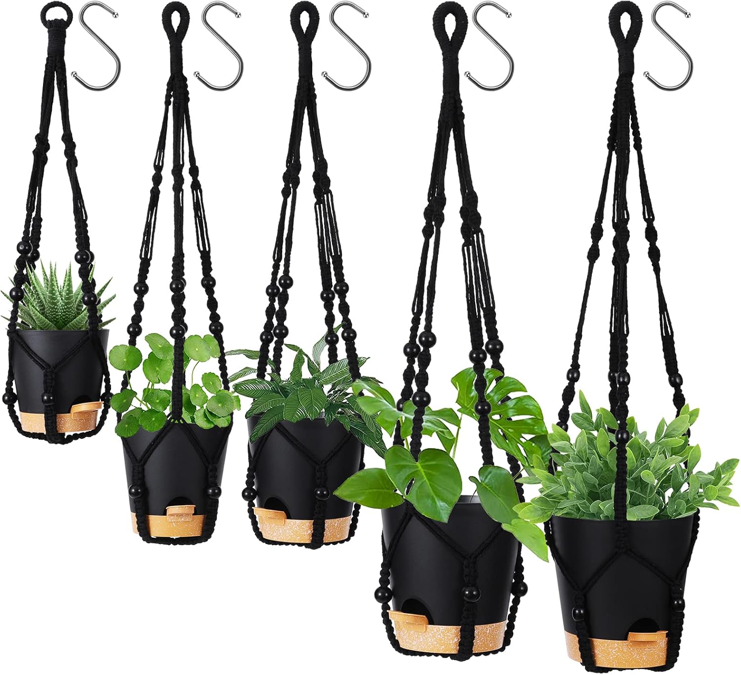 Hanging Planters for Indoor Plants