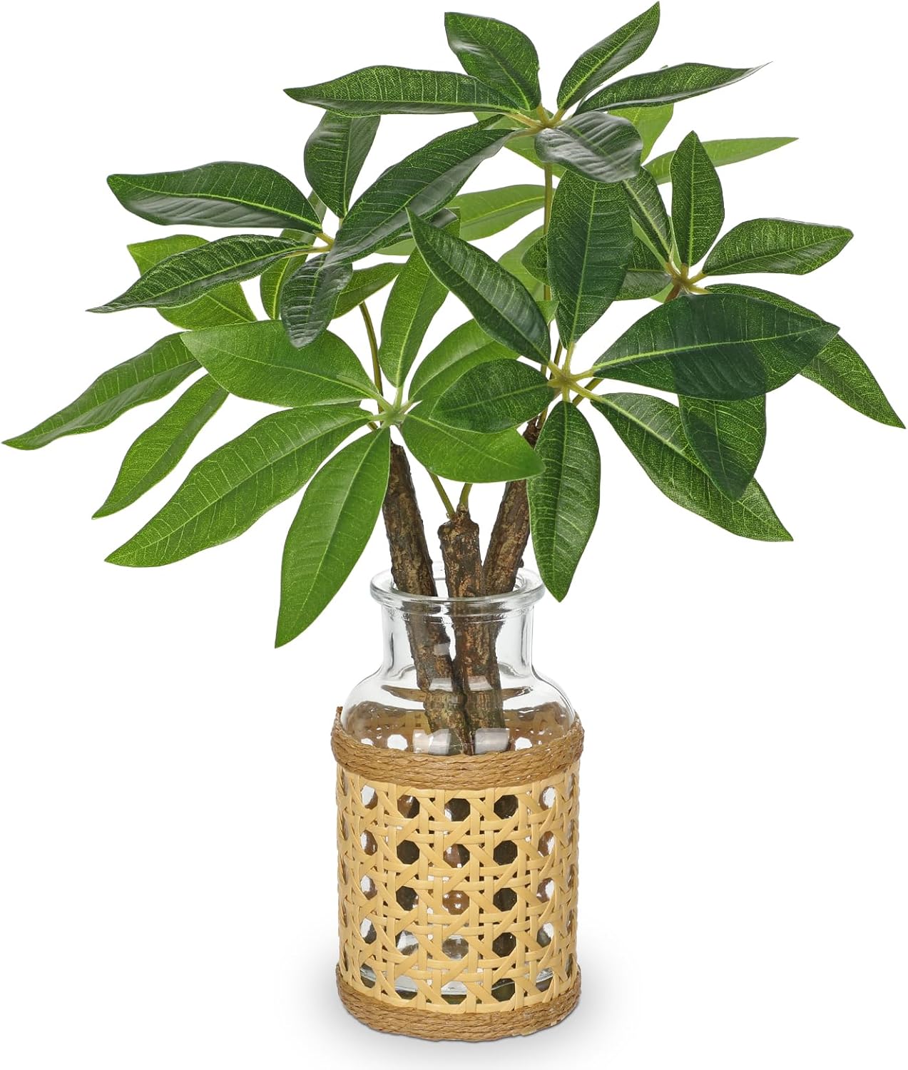 Hollyone Fake Money Tree Leaves Stems in Woven Glass Vase