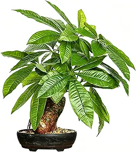 16 Inch Fake Money Tree