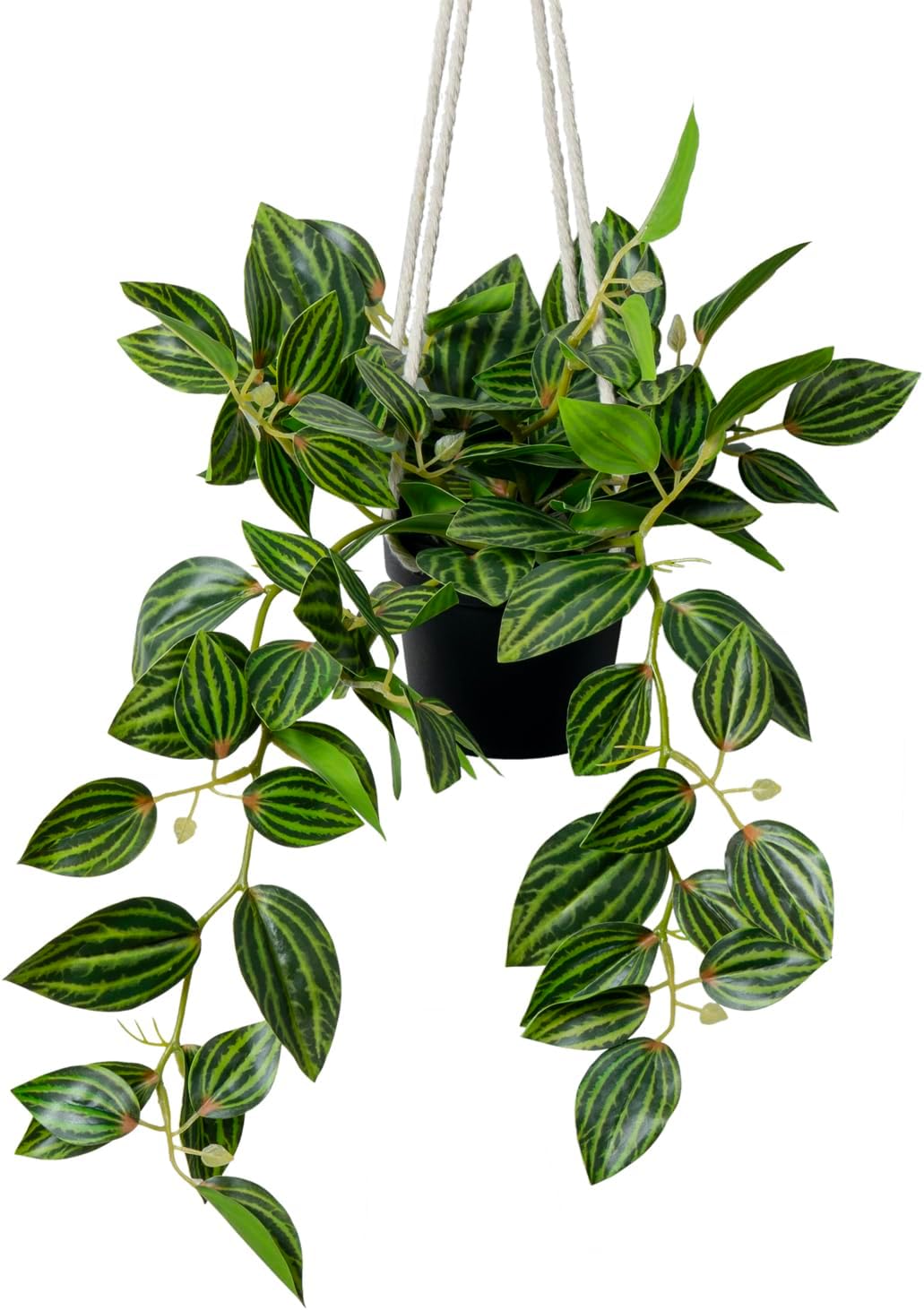 MyGift Wall Hanging Potted Artificial Leafy Plant in Black Pot with White Rope