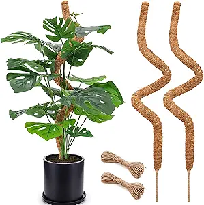2 Pack 48'' Bendable Moss Pole for Monstera & Pothos