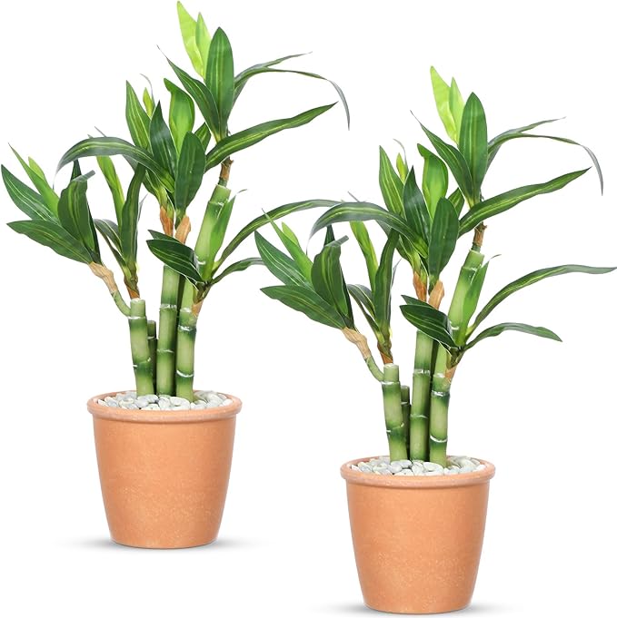 2 Pack Artificial Lucky Bamboo Plant