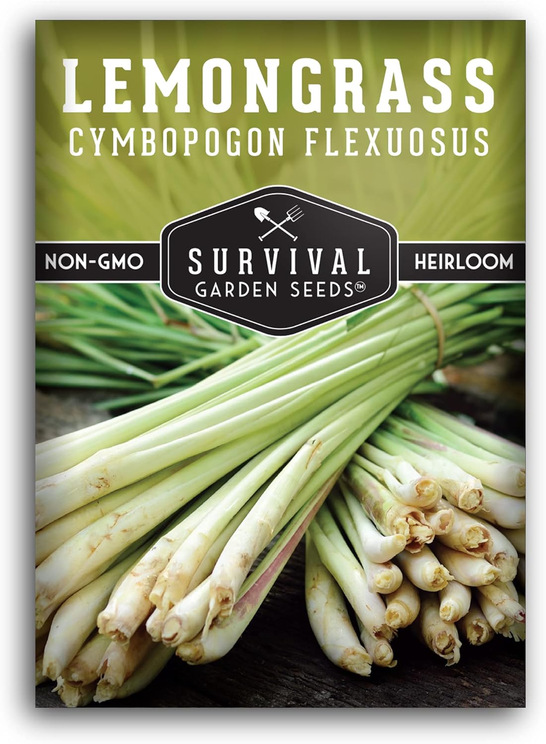 Lemongrass Seeds for Planting