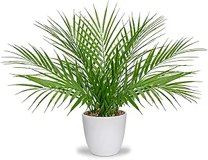 Briful Fake Plant 15’’ Artificial Palm Plant
