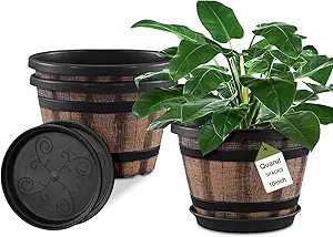 3 Pack 10 inch Plant Pots