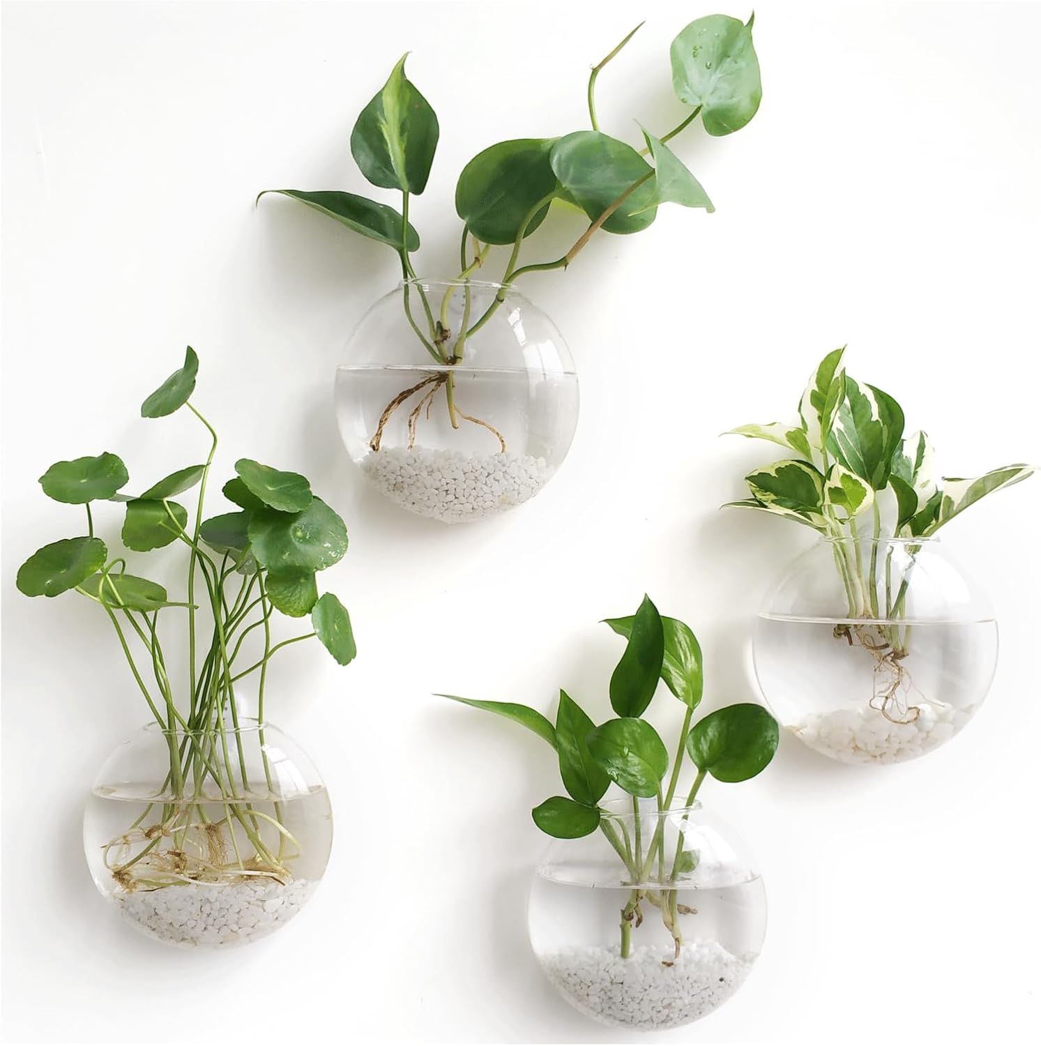 Mkono Wall Hanging Planter Propagation Station