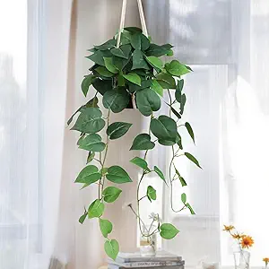 alyptus Fake Hanging Plants