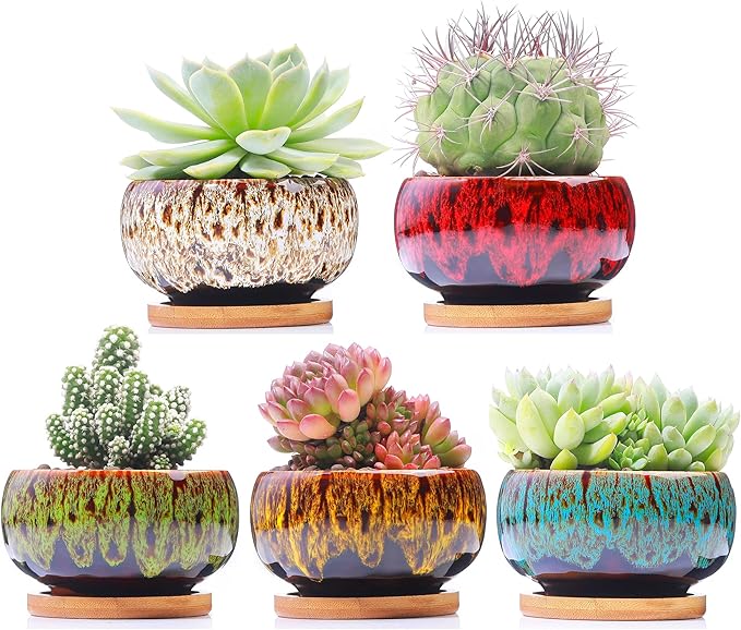 Cute Ceramic Succulent Garden Pots