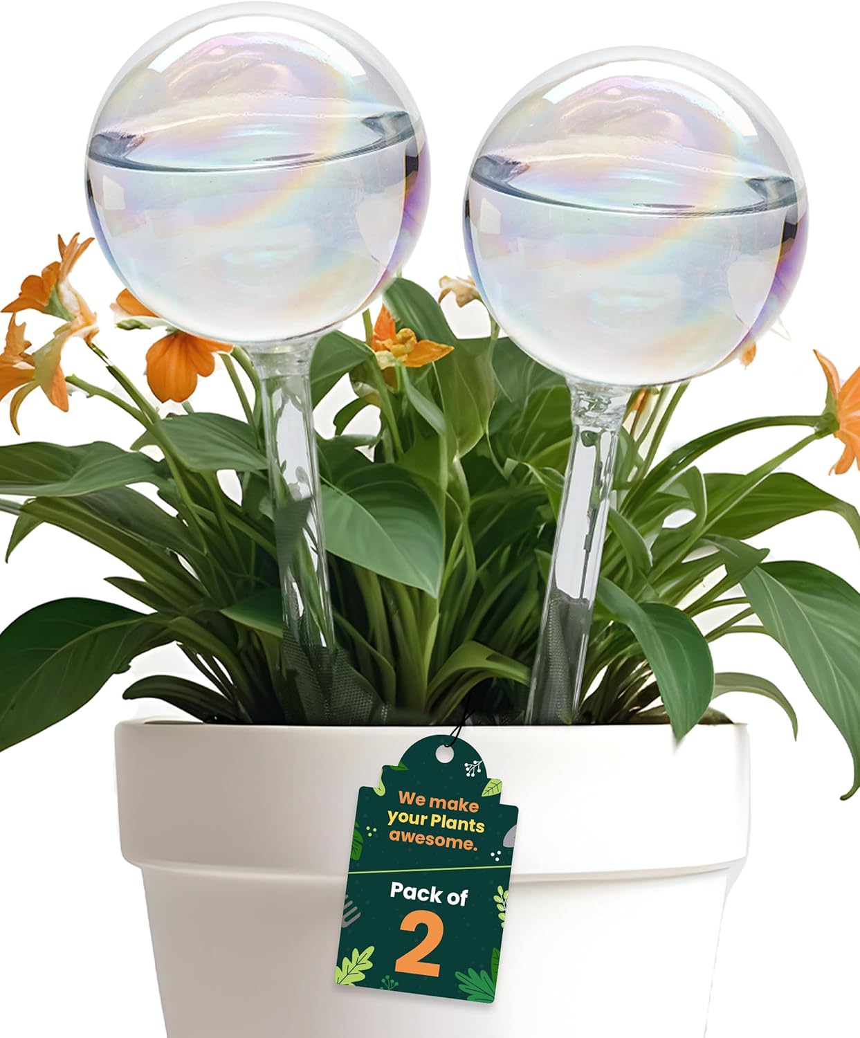 Iridescent Self Watering Globes