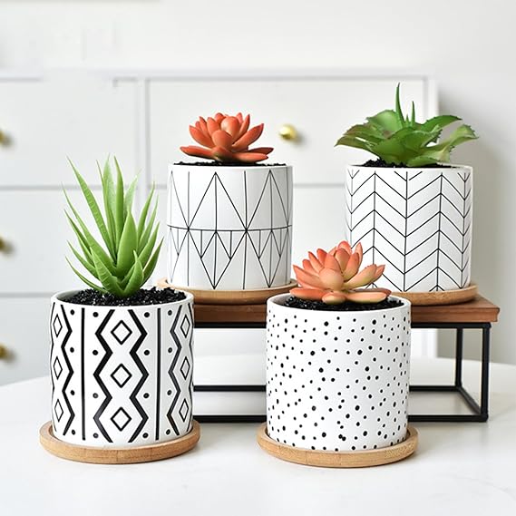 Succulent Pots