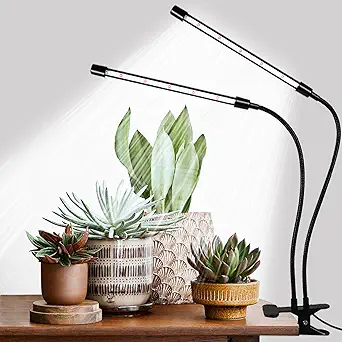 Grow Lights for Indoor Plants
