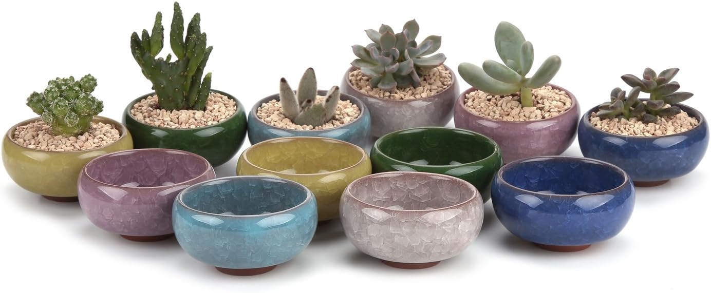 T4U 2.5 Inch Small Ceramic Succulent Planter Pot with Drainage Hole Set of 12