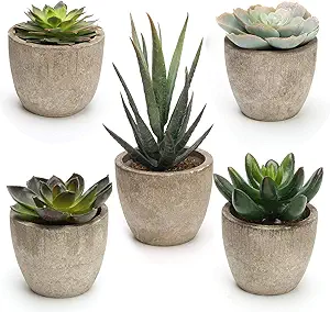 Coitak Artificial Succulent Plants Potted