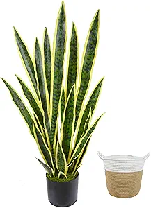 Artificial Snake Plant